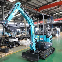 Cloddiwr Backhoe Mini